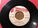 ANTHONY ROCKY ELLIS 45 I Am The Ruler 1979 Roots Reggae STUDIO ONE 1