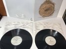 WILCO - A Ghost Is Born (Vinyl LP, 2004) 2xLP - Nonesuch - Rhino 76492-12004