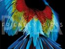 Friendly Fires SEALED Pala LP OOP VINYL