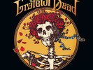 The Grateful Dead - Best of the Grateful Dead: 1967-1977 [Used Vinyl LP]