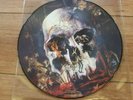 SLAYER - SOUTH OF HEAVEN - LIMITED RE-PRESS PIC DISC LP + PVC SLV. EX   £24.99