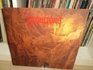 Desultory - Forever Gone LP, Original 1st Pressing (1992)