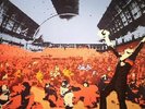 CHEMICAL BROTHERS, The - Surrender - Vinyl (gatefold 2xLP)
