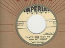 THE SPIDERS- 