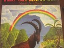 Vinyl LP  The Gladiators ?– Back To Roots  ROOTS-REGGAE Top Zustand *****