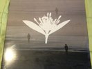 Copeland Ixora Twin Vinyl