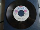 JOHNNY REBEL KAJUN KLU/LOOKING FOR A HANDOUT 1966 LEBER MUSIC 45 RECORD BIN