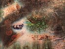 PINK FLOYD A Saucerful of Secrets LP VINYL France Columbia 1978 7 Track Vinyl LP