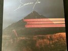 Dominic Fike - What Could Possibly Go Wrong - SIGNED vinyl
