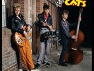 LIVE AT THE ROXY 1981 (SPLATTE - STRAY CATS