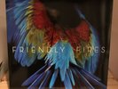 Friendly Fires - Pala Vinyl Record LP Indie