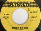RAMRODS Bright Lit Blue Skies GARAGE 45 hear