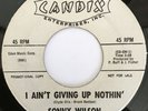 SONNY WILSON I Ain't Giving Up Nothin/Troubled Times ROCKABILLY PROMO 45 hear
