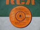 David Bowie - DEMO / PROMO 45 -  Beauty And the Beast / Sense Of Doubt - PB 1190