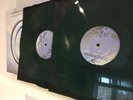 Devin Townsend - Accelerated Evolution RARE Green 2 x Vinyl 100 Pressed 180g