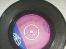 Mighty Sam, Papa true love/I need a lot if lovin rare Soul City record SC 115