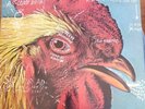 Watery, Domestic [EP] by Pavement (Vinyl, 1992 Matador (record label)) near mint
