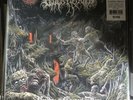 Outer Heaven - Realms Of Eternal Decay Vinyl LP (Colored, Brand New)