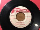 ANTHONY ROCKY ELLIS 45 I Am The Ruler 1979 Roots Reggae STUDIO ONE 1