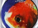 Vince Staples - Big Fish Theory - Vinyl (VG)