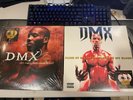 DMX - It's Dark and Hell Is Hot (Double Gold Vinyl) Flesh Of My Flesh Blood LP