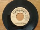 THE VOICES OF EAST HARLEM - CASHING IN - Just Sunshine Records - 1973 Reissue.