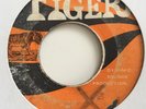 The Jamaicans - Sing Freedom / Dynastars - Version TIGER 1971