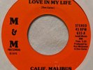Bay Area Sweet Soul 45 CALIFORNIA MALIBUS - Love In My Life M&M EX 1976 Rare