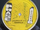 THE CHANTELLS Children Of Jah / Desperate Time PHASE ONE 12