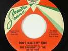 Girl Garage 45 - Daughters Of Eve - Don't Waste My Time - Spectra Sound - mp3