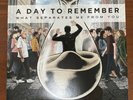 A Day To Remember What Separates Me From You Vinyl - Black