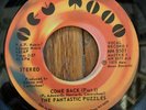 FANTASTIC PUZZLES Come Back 45 on New Moon NM northern