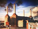 PINK FLOYD - Animals (reissue) - Vinyl (gatefold 180 gram vinyl LP)