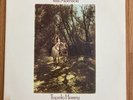 Van Morrison   Tupelo Honey   WS 1950 Vinyl LP - 1983 Reissue