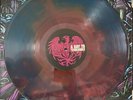 A Day To Remember Vinyl Homesick Newbury Exclusive Limit 555 Blue Green Red Star