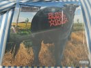 Blink 182 Dude Ranch Black Limited Edition Hot Topic 1st Pressing Vinyl LP 2009