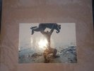 Shellac - Dude Incredible [VINYL]