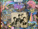 FLAT EARTH SOCIETY Waleeco 1968 REISSUE Psycho Records 1983 US Psychedelic