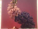 Flume - Skin - Peppermint Green Vinyl-Limited Edition, 2017, only 1,000 Pressed