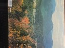 Tame Impala ?”Innerspeaker” RARE 45 rpm double vinyl 12”, psych, Australia 2010