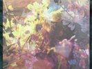 Desperate Journalist Hot Pink Rare Vinyl Lp X/300 In Hand Shipping Now