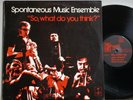 Spontaneous Music Ensemble So What Do You Think? UK Original NM