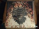 Shpongle ?– Divine Moments Of Truth - 12inch UK 2000 NEAR MINT
