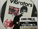 The Vibrators ?– Baby, Baby PICTURE DISC 7