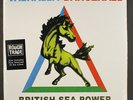 BRITISH SEA POWER: valhalla dancehall ROUGH TRADE 12