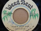 DEVON LYON SHADOW AFTER DARK / SAXS IN DUB OG JAMAICAN WEED BEAT 7