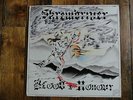 SKREWDRIVER SIGNED LP by Ian Stuart autographed Blood & Honour Vinyl RRR 53 rac