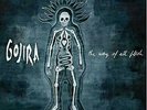 ID4z-Gojira-The Way Of All Flesh-vinyl LP-New