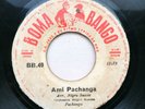 Negro Succès - Ami Pachanga - Afro Latin Bomb CONGO - Boma Bango