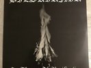 Bilskirnir - In Flames Of Putrification - PT 80 - Vinyl LP 2005 Rare Black Metal